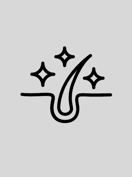 矢量图标-毛孔清洁